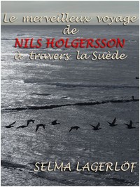 Ebook Le Merveilleux voyage de Nils Holgersson à travers la Suède Lagerlöf, Selma